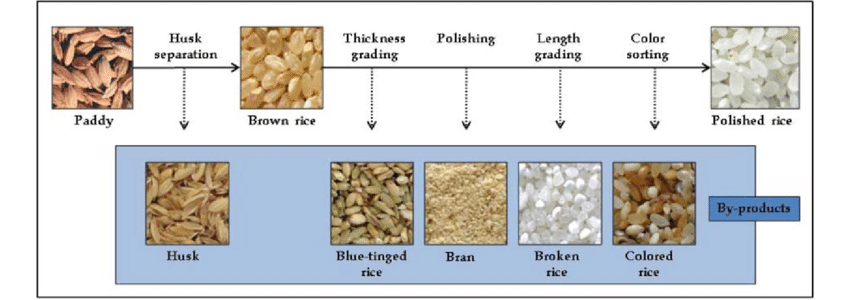 paddy processing mill flow.png